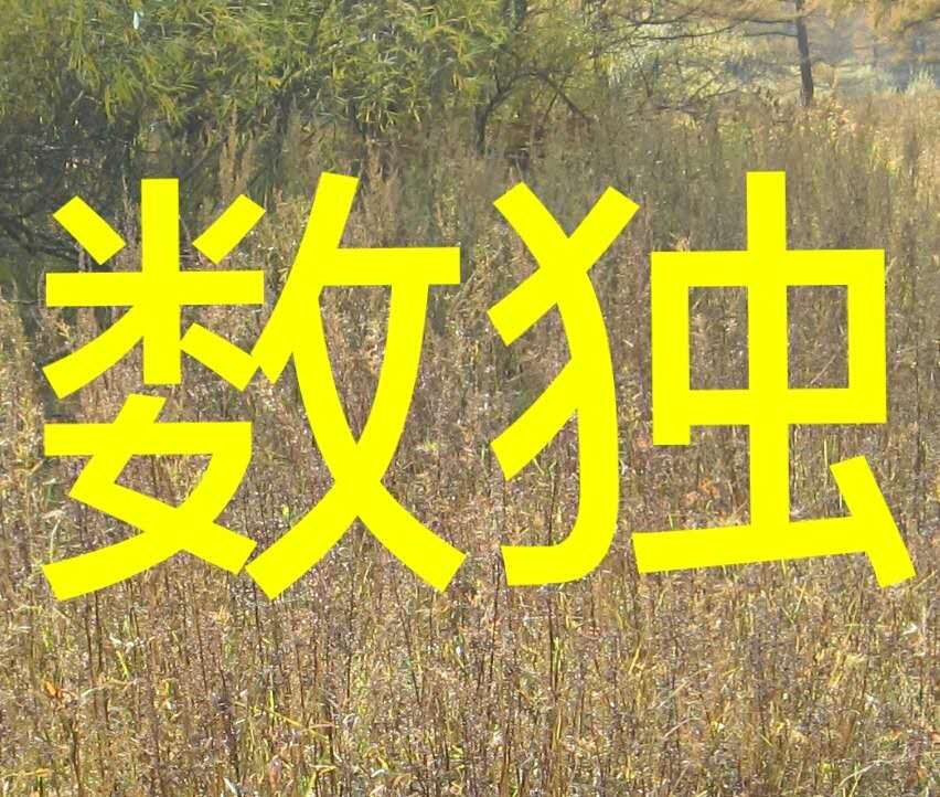 数独教学