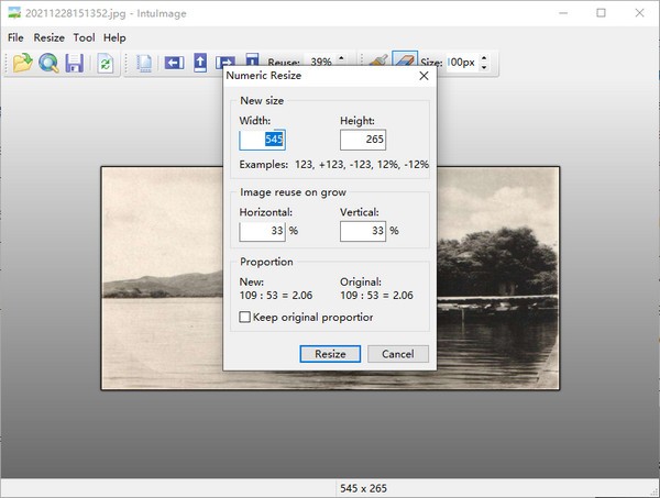 IntuImage(图片大小调整软件)