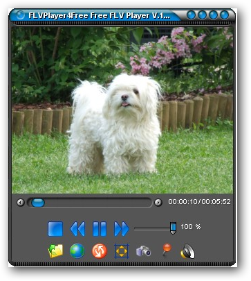 FLVPlayer4Free(FLV