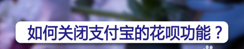 支付宝花呗功能怎么关闭