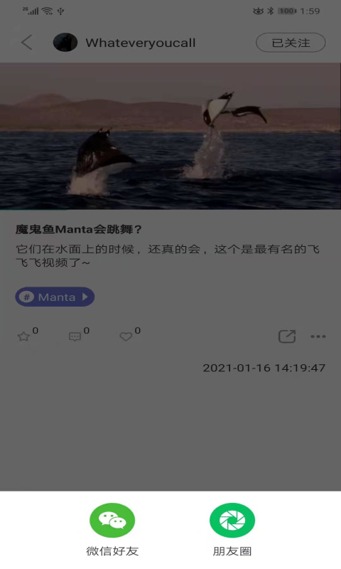 潜水指南MoreDive