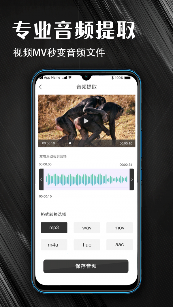 MP3音频提取器术图