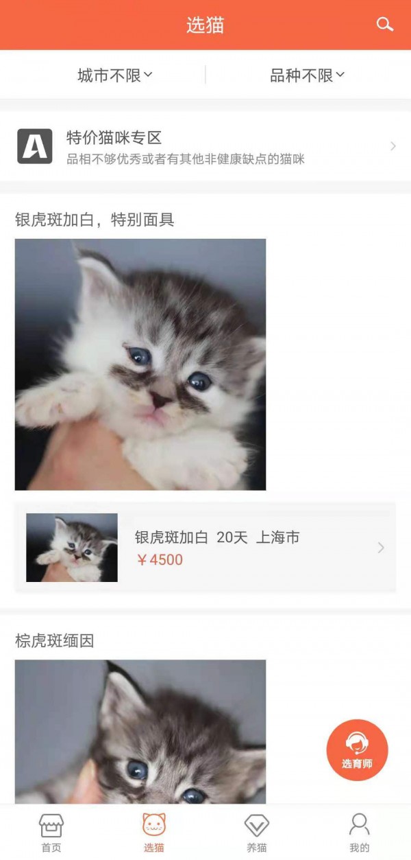 家连猫舍