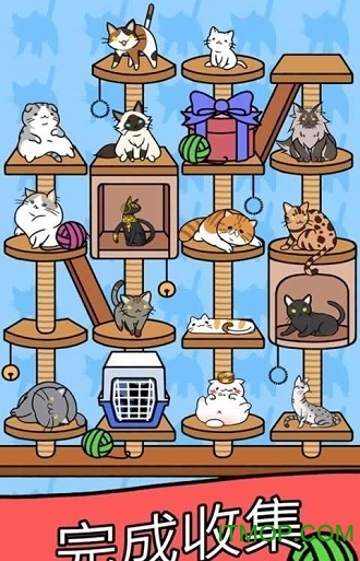 Cat Condo 2