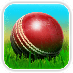 板球大战3D(Cricket 3D)